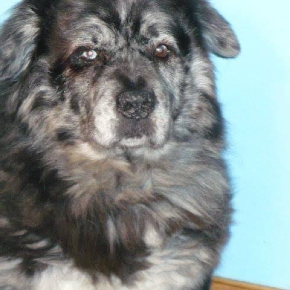 Meet your Posher, Carolyn - Picture 14 of 15